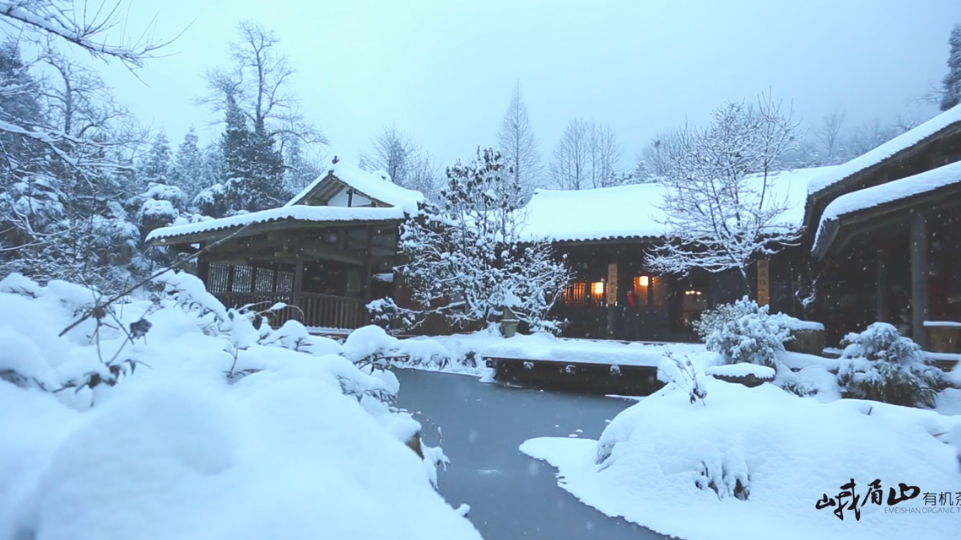 峨眉山有機(jī)茶宣傳片