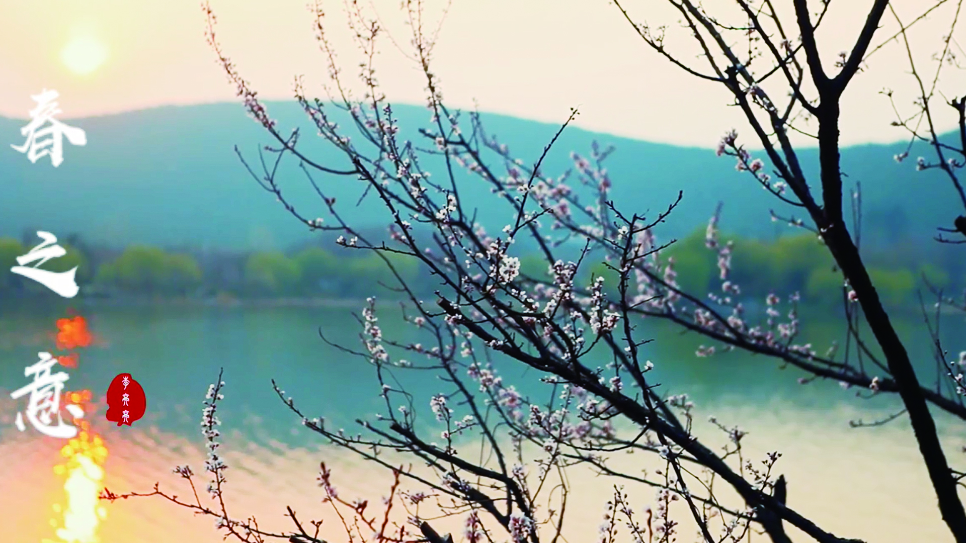 春之意紀錄片