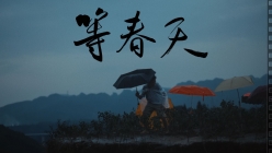 天福茗茶三十周年品牌视频《等春天》