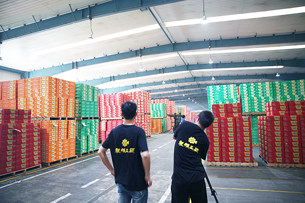 今麦郎仓库拍摄花絮