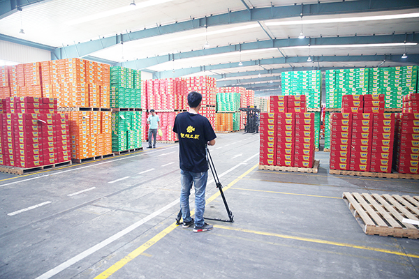 今麦郎仓库拍摄花絮