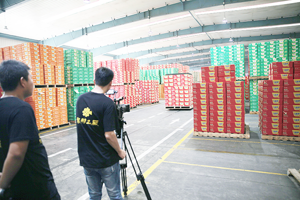 今麦郎仓库拍摄花絮